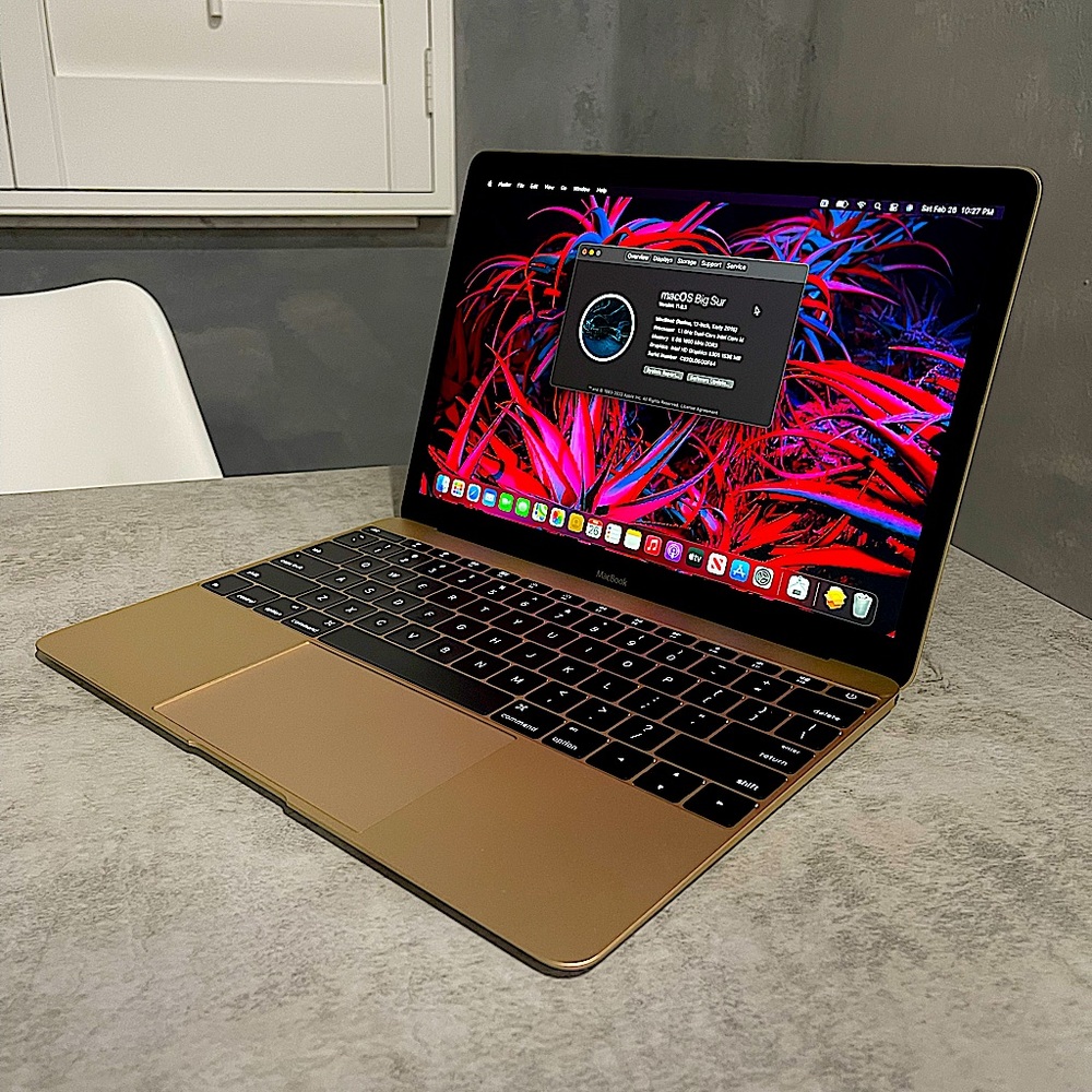 Apple MacBook GOLD Retina Display (Charger included)